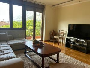 Central Kotor Bay Condo with amazing view