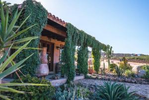 Enkanto Valle de Guadalupe