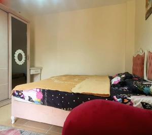 home close to airport- airport pick up available