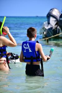 Nado con tortugas marinas en akumal