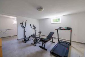 Holiday home in Tribalj 51443