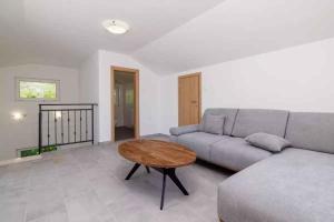 Holiday home in Tribalj 51443