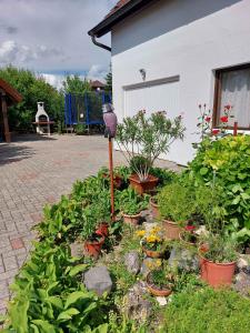 Apartment Keszthely 9