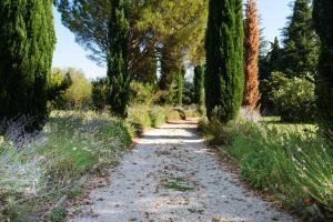 Villas Le Mas En Rose : photos des chambres