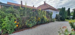 Holiday home Balatonbereny - Balaton 18150