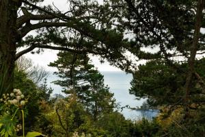 Salcombe Retreat