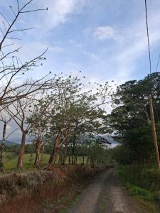 Beautiful house with a view