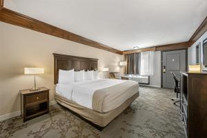 King Room - Non-Smoking room in Best Western Black Hills Lodge