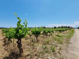 Maisons de vacances Loft in Olonzac near Canal du Midi, cleaning included : photos des chambres