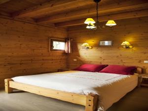 Maisons de vacances Mansion in Albertville near Ski Slopes, cleaning included : photos des chambres