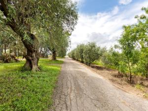 Appartements Apartment in Meze near Vineyards & Pool, cleaning included : photos des chambres