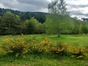 Maisons de vacances Holiday Home Lorraine near Saint Quirin Lakes, cleaning included : photos des chambres