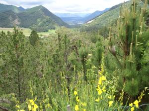 Maisons de vacances Mountain View Retreat, Diois, cleaning included : photos des chambres