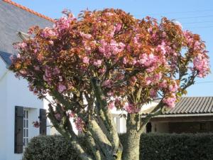 Maisons de vacances Coastal Family Retreat, cleaning included : photos des chambres