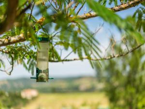 Villas Charming Villa Stay Near Limoux, cleaning included : photos des chambres