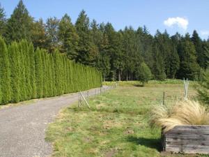 Maisons de vacances Holiday Home in Saint-Quirin Vosges Mountains, cleaning included : photos des chambres