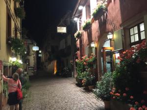 Appartements Apartment in Riquewihr near Vineyards, cleaning included : photos des chambres