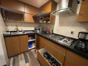 Departamento Chapultepec