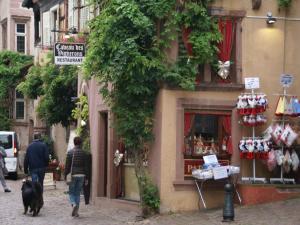 Appartements Apartment in Riquewihr near Vineyards, cleaning included : photos des chambres