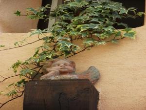 Appartements Apartment in Riquewihr near Vineyards, cleaning included : photos des chambres
