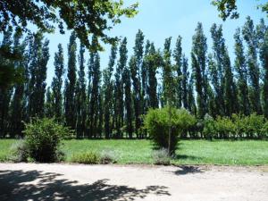 Maisons de vacances Country house with private terrace, Beaucaire, cleaning included : photos des chambres