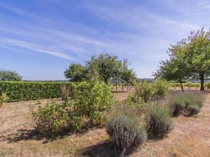 Maisons de vacances Cottage in Montrichard near Castles, cleaning included : photos des chambres