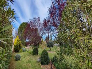 Maisons de vacances Villa in France with Pool and Vineyards, cleaning included : photos des chambres