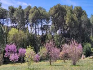 Maisons de vacances Villa in France with Pool and Vineyards, cleaning included : photos des chambres