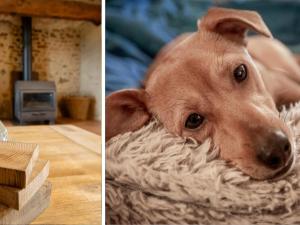 Maisons de vacances Dreamy Retreat in Loubejac, cleaning included : photos des chambres