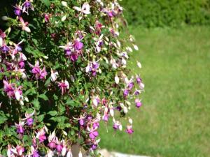 Maisons de vacances Dreamy Retreat in Loubejac, cleaning included : photos des chambres