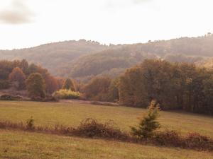 Maisons de vacances Holiday Home in Puy-l-Eveque with Pool, cleaning included : photos des chambres