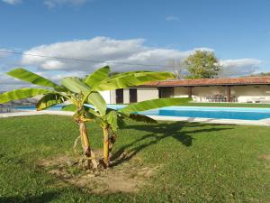 Maisons de vacances Holiday Home in Buzon with Private Pool, cleaning included : photos des chambres