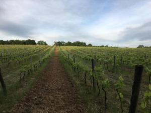 Maisons de vacances Tranquil Escape in Dordogne, cleaning included : photos des chambres
