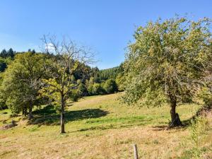 Maisons de vacances Calvinet Countryside Escape, cleaning included : photos des chambres
