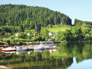 Maisons de vacances Holiday Home in Vosges with Garden and BBQ, cleaning included : photos des chambres