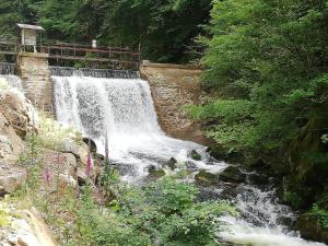 Maisons de vacances Holiday Home in Vosges with Garden and BBQ, cleaning included : photos des chambres