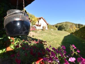 Maisons de vacances Holiday Home in Vosges with Garden and BBQ, cleaning included : photos des chambres