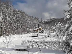 Maisons de vacances Holiday Home in Vosges with Garden and BBQ, cleaning included : photos des chambres