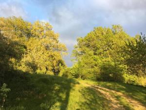 Maisons de vacances Cottage in Chaleix near Forest and Lake, cleaning included : photos des chambres