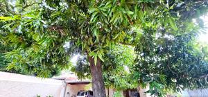 Accommodation-House in Asunción