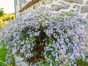 Maisons de vacances Holiday Home in Auvergne near Lespinasse Castle, cleaning included : photos des chambres