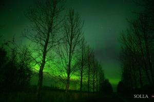 Sóltún -A cozy modern cabin in Klettaholt by the Golden Circle