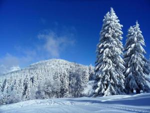 Chalets Les Houches Chalet with Garage, cleaning included : photos des chambres