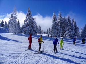 Chalets Les Houches Chalet with Garage, cleaning included : Chalet 3 Chambres
