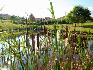 Maisons de vacances Cottage in France with Private Terrace, cleaning included : photos des chambres