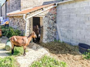 Maisons de vacances Holiday Home near Chateau de Gratot, cleaning included : photos des chambres