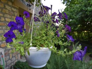Maisons de vacances Holiday Home in Saizy with Stargazing Garden, cleaning included : Maison de Vacances 2 Chambres