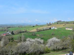 Maisons de vacances Mansion in Cuzy with Pool & Forest Views, cleaning included : photos des chambres