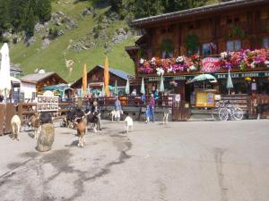 Chalets Chalet in Saint-Jean near Ski Lift, cleaning included : photos des chambres