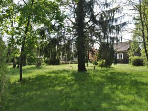 Maisons de vacances Mansion in Charrin by Loire with Pool, cleaning included : photos des chambres